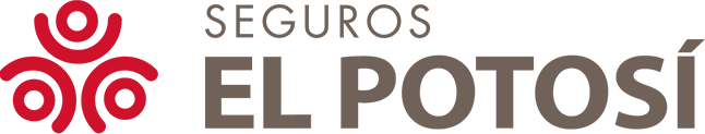 Seguros el potosí